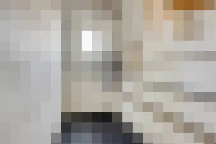 Walstraat 16 Oss thumbnail 22