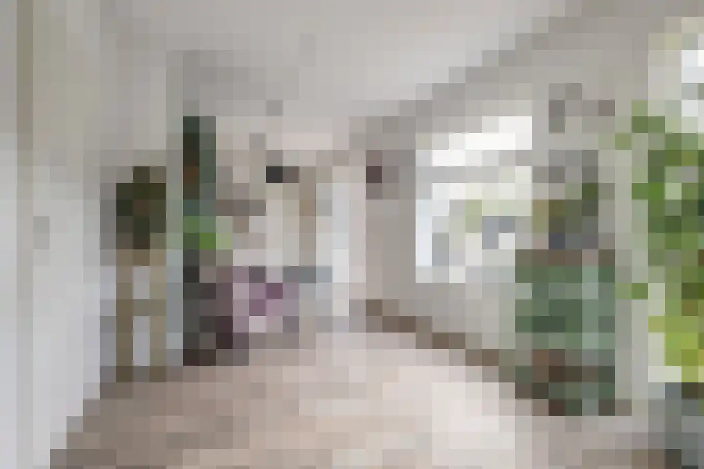 Walstraat 17 's-Heer Arendskerke thumbnail 10