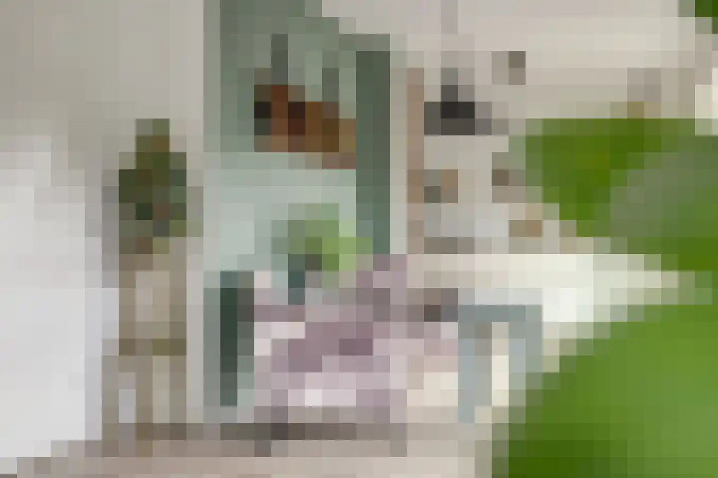 Walstraat 17 's-Heer Arendskerke thumbnail 11