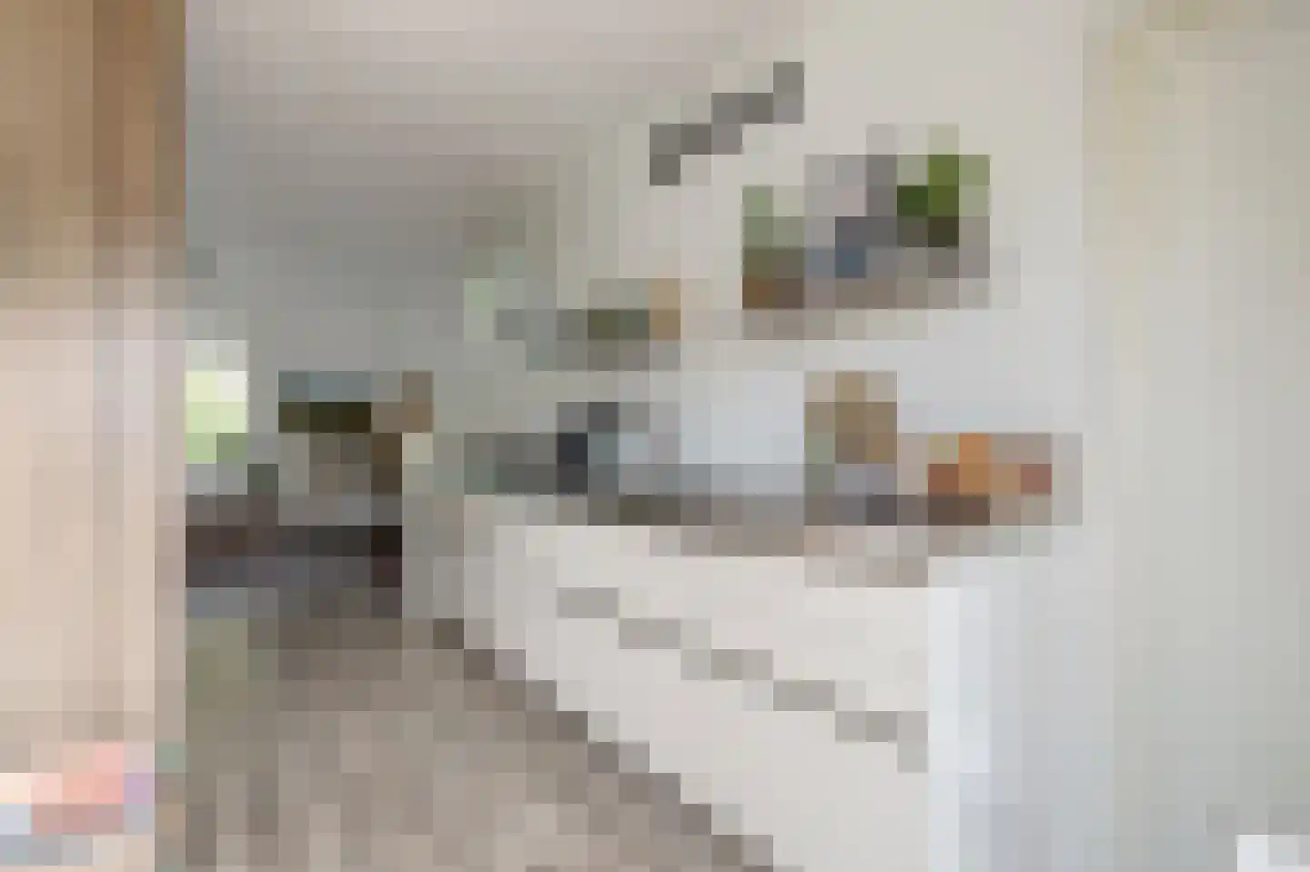 Walstraat 17 's-Heer Arendskerke thumbnail 15