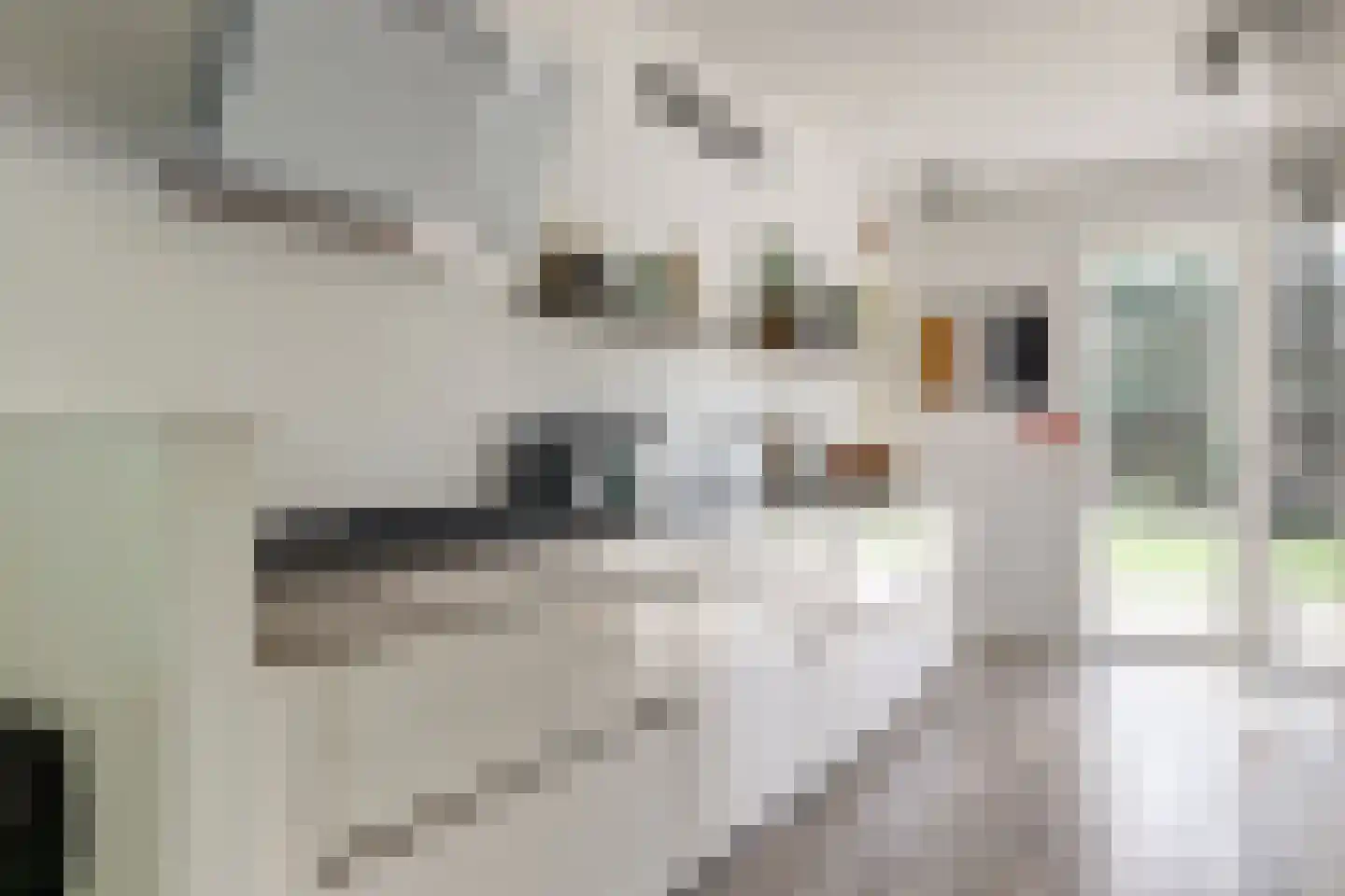 Walstraat 17 's-Heer Arendskerke thumbnail 16