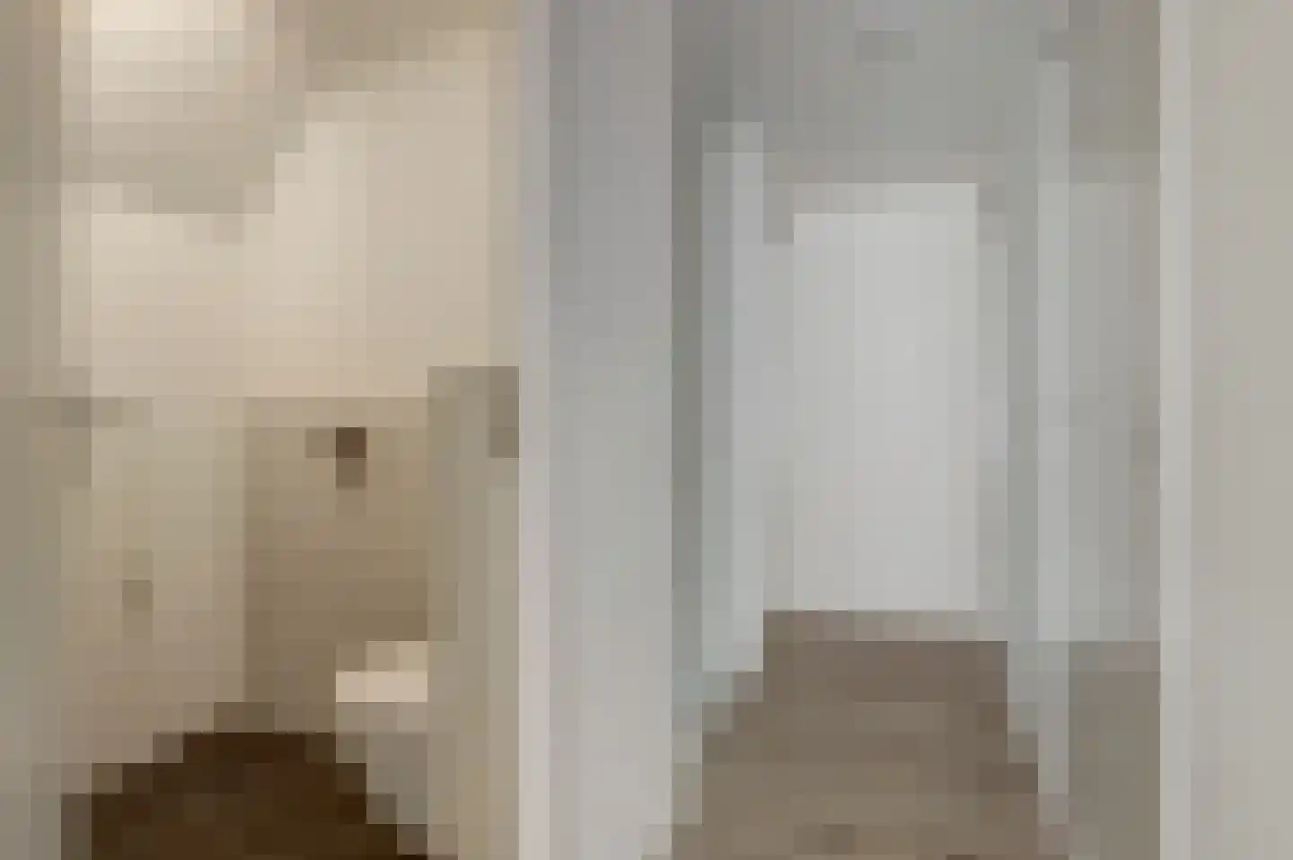 Walstraat 17 's-Heer Arendskerke thumbnail 20