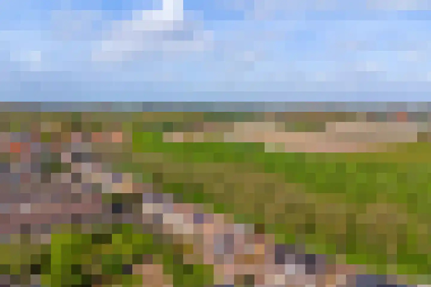 Walstraat 17 's-Heer Arendskerke thumbnail 37