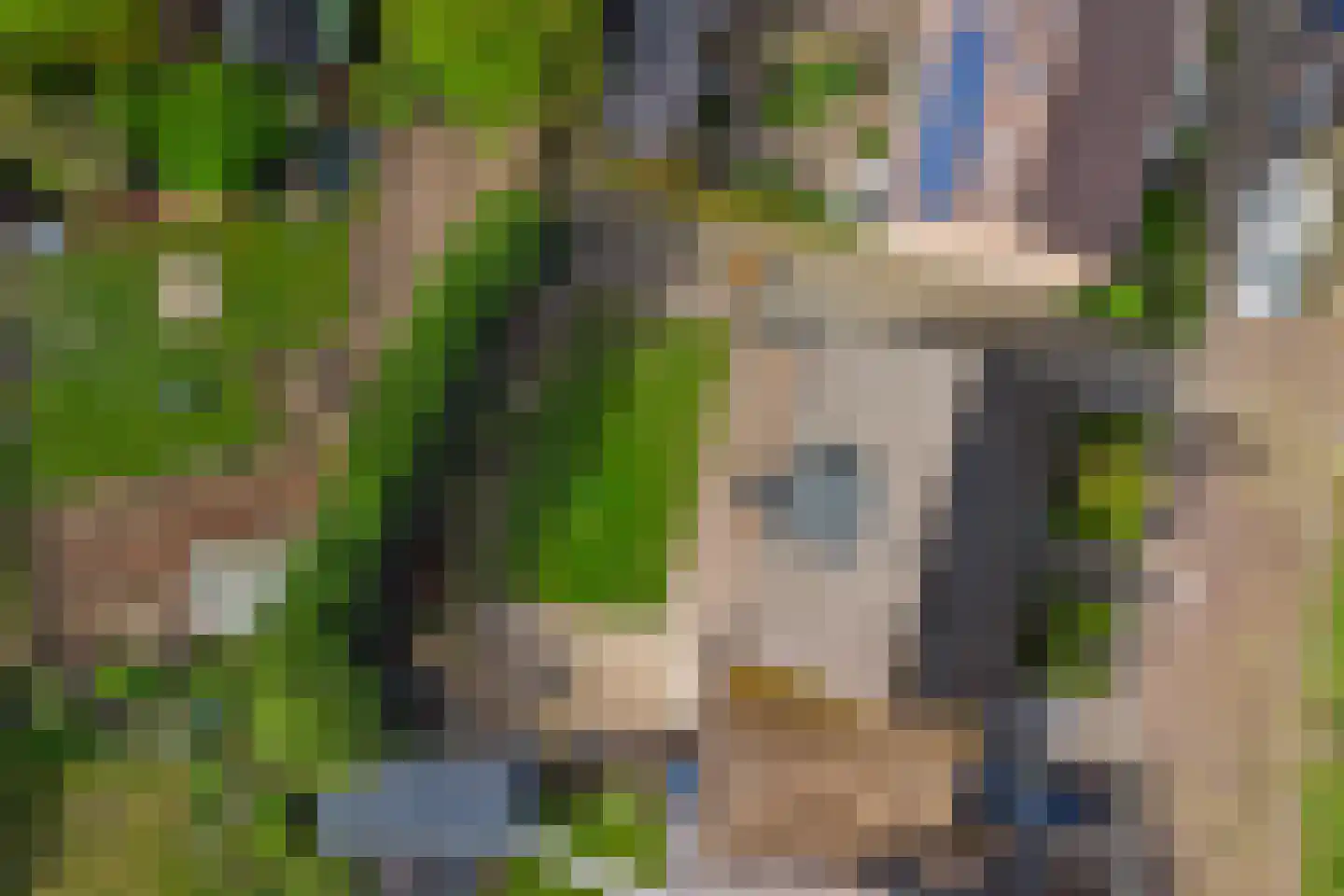 Walstraat 17 's-Heer Arendskerke thumbnail 39