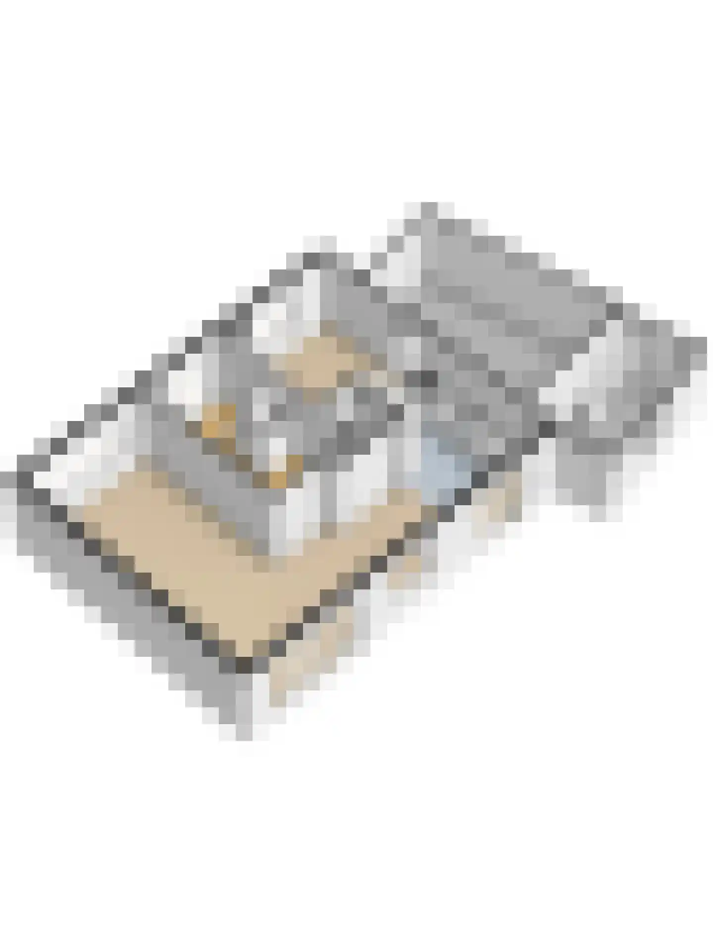 Walstraat 17 's-Heer Arendskerke thumbnail 49