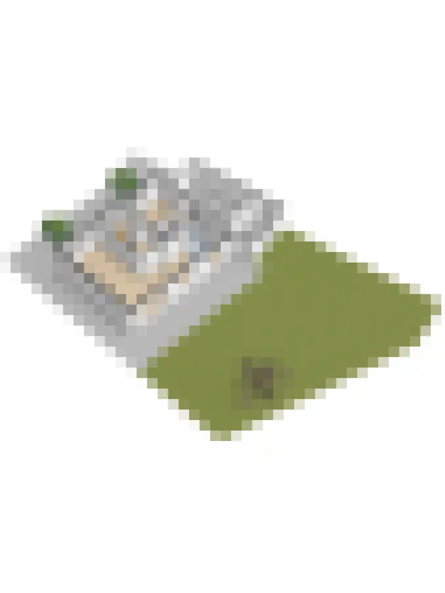 Walstraat 17 's-Heer Arendskerke thumbnail 50