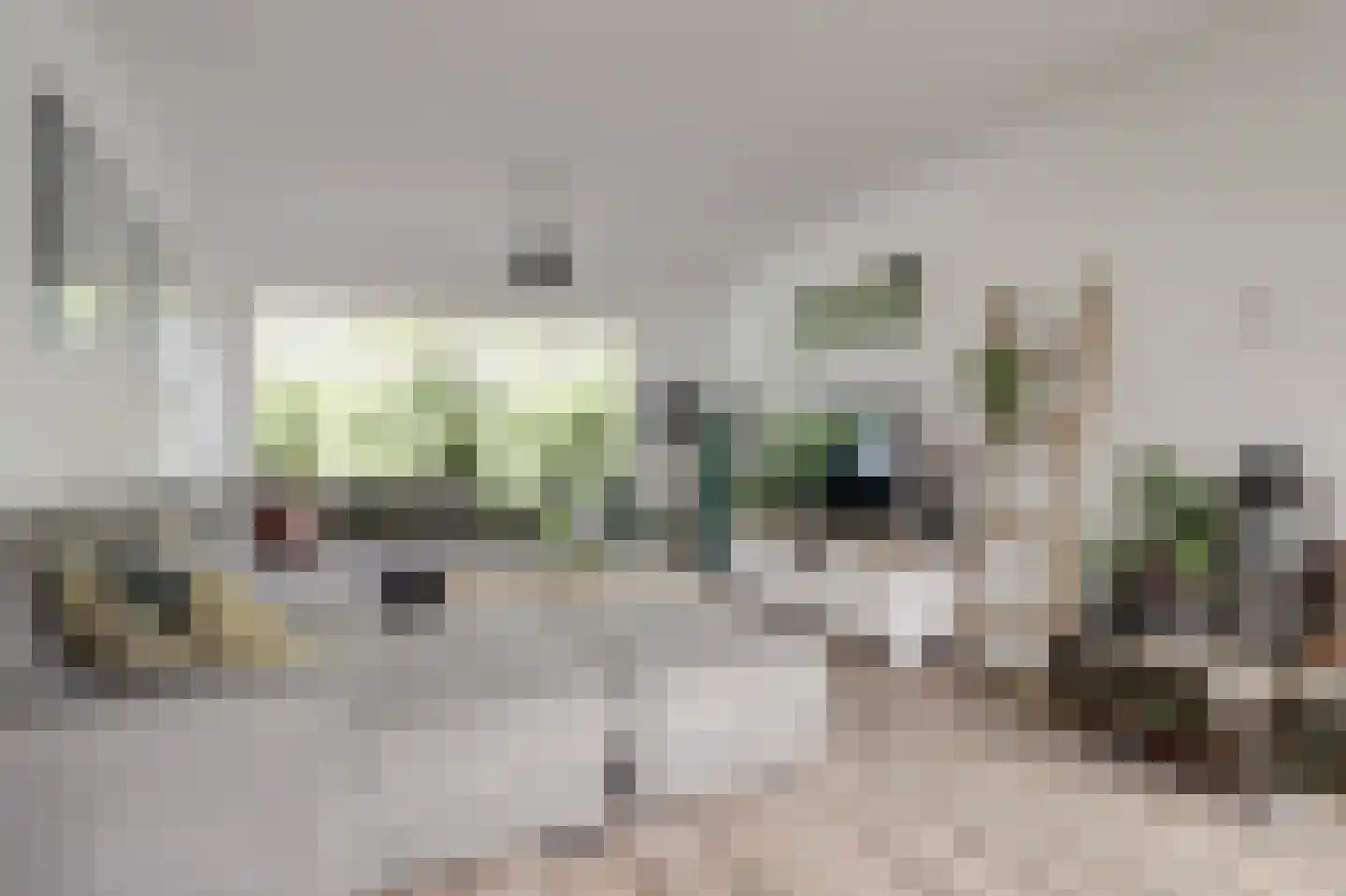 Walstraat 17 's-Heer Arendskerke thumbnail 8