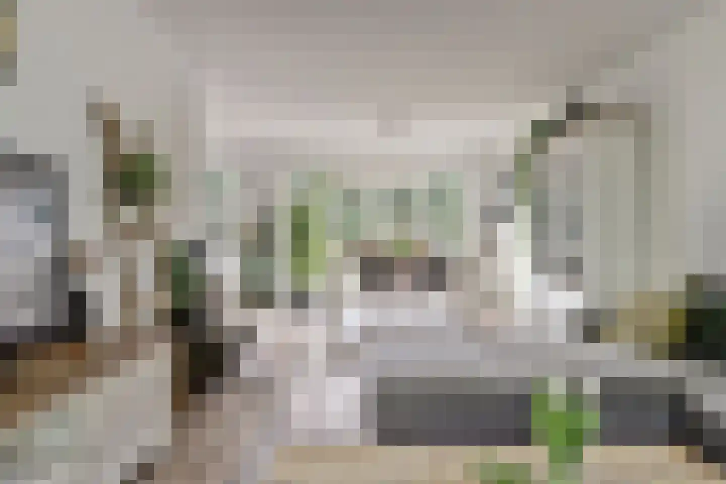 Walstraat 17 's-Heer Arendskerke thumbnail 9