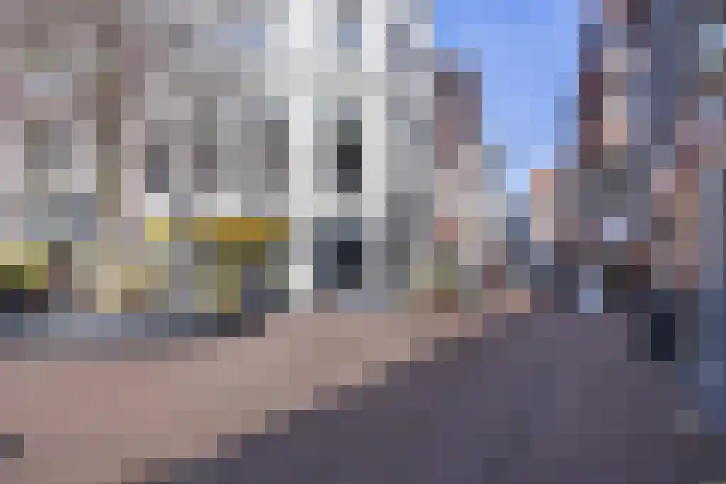 Walstraat 2 2 Arnhem thumbnail 34