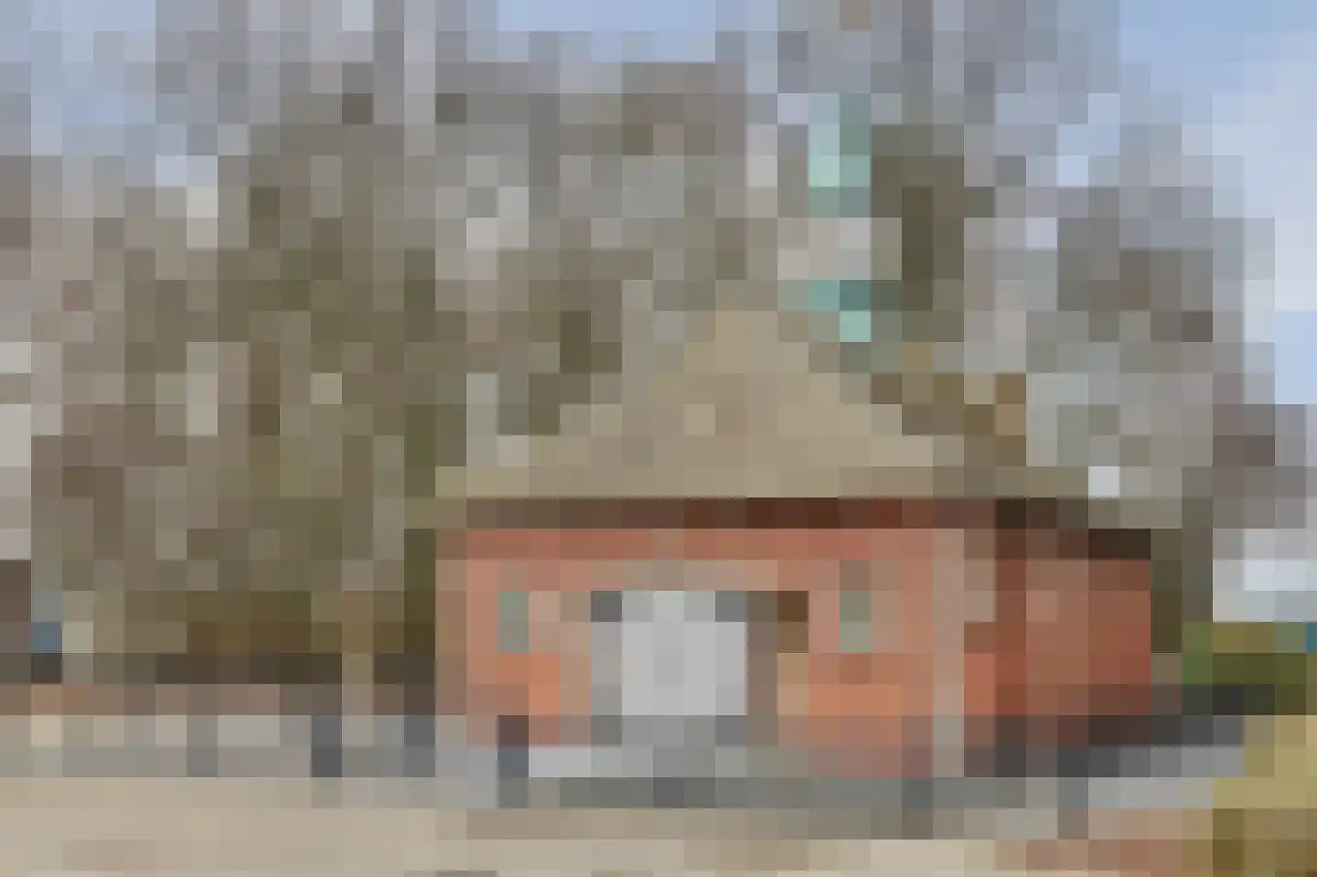 Walstraat 21 Rilland thumbnail 29