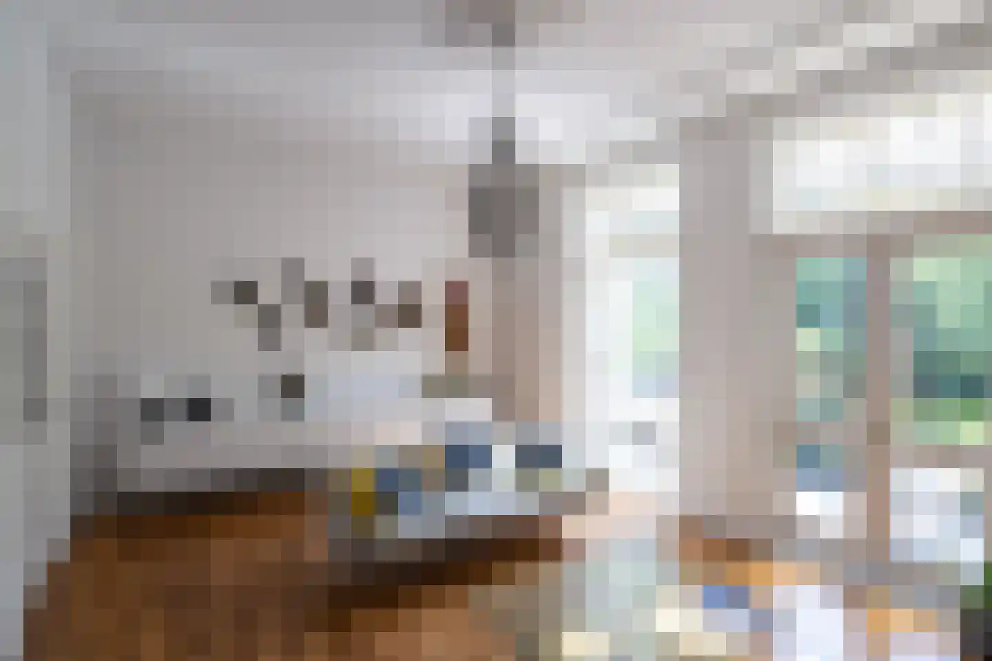 Walstraat 22 Zwolle thumbnail 10