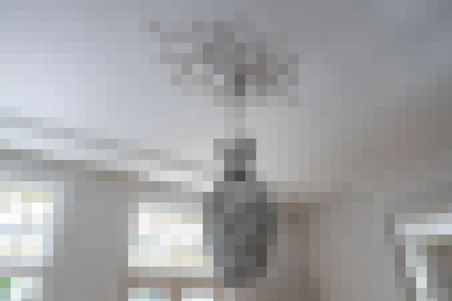 Walstraat 22 Zwolle thumbnail 11