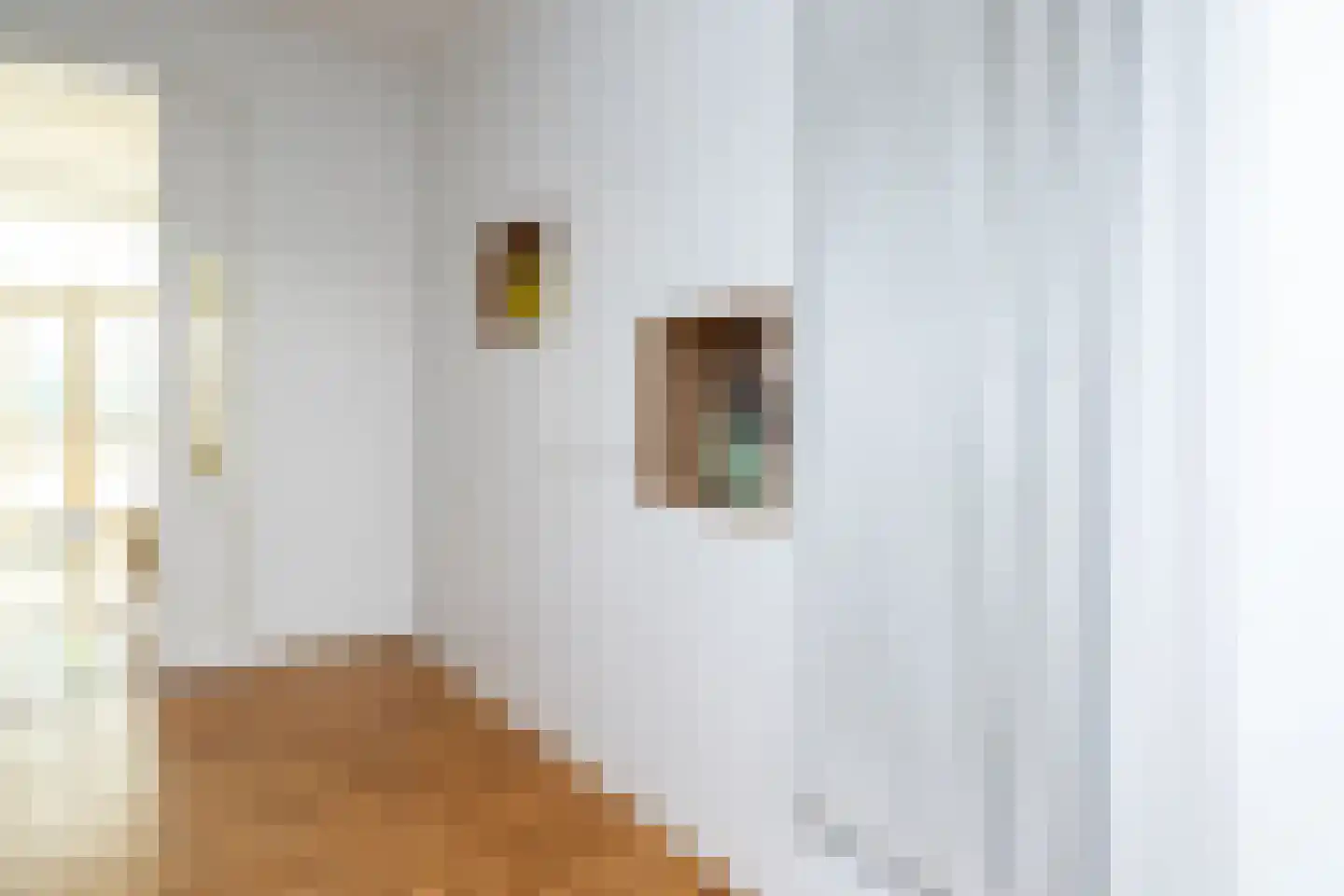 Walstraat 22 Zwolle thumbnail 15