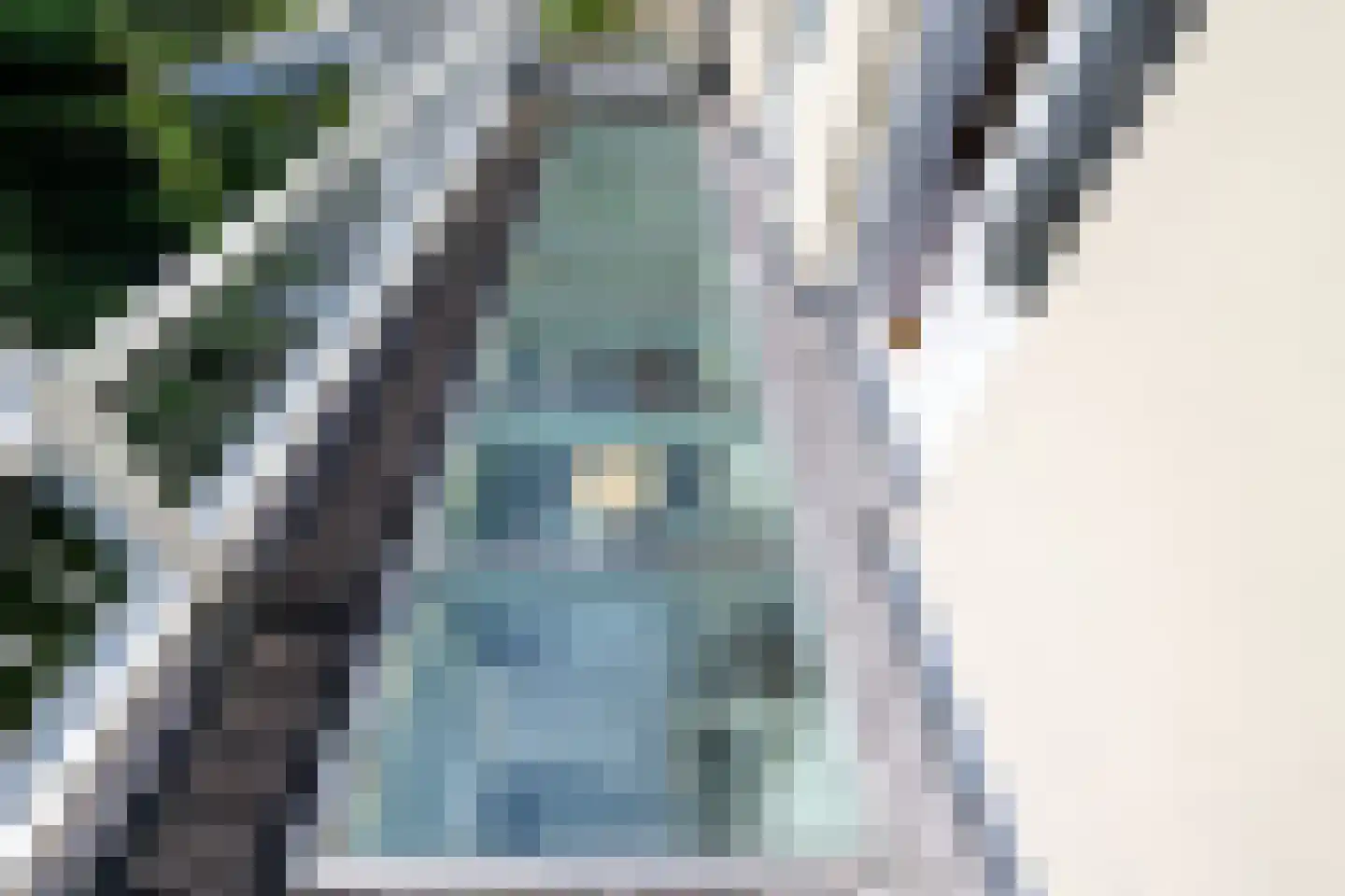 Walstraat 22 Zwolle thumbnail 29