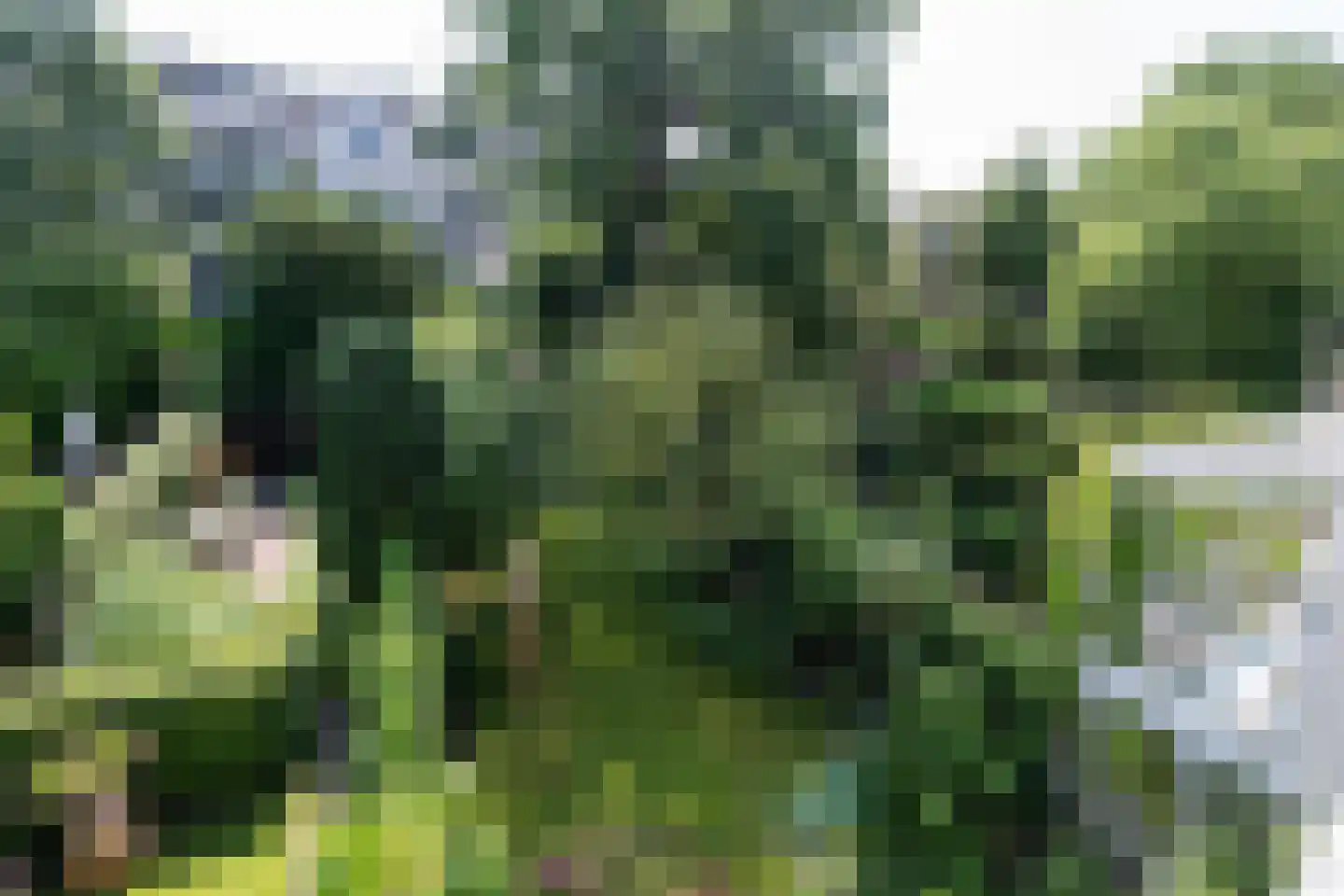 Walstraat 22 Zwolle thumbnail 30