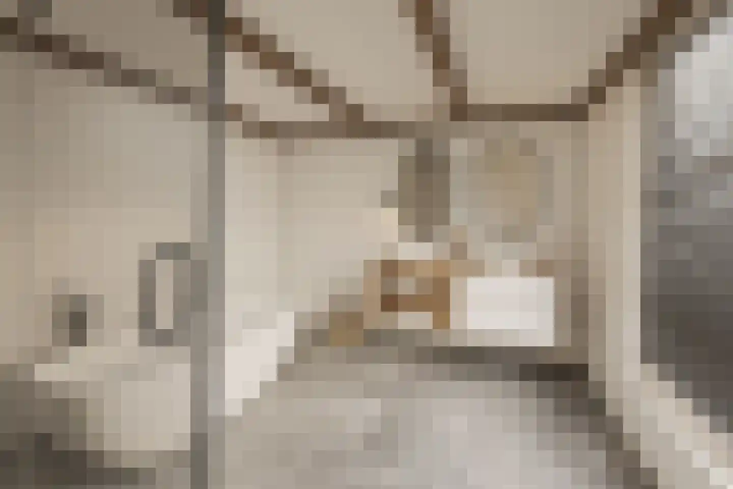 Walstraat 22 Zwolle thumbnail 32