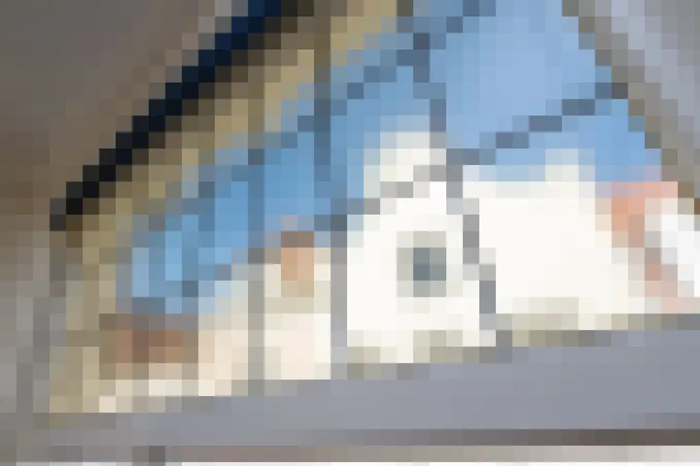 Walstraat 22 Zwolle thumbnail 37