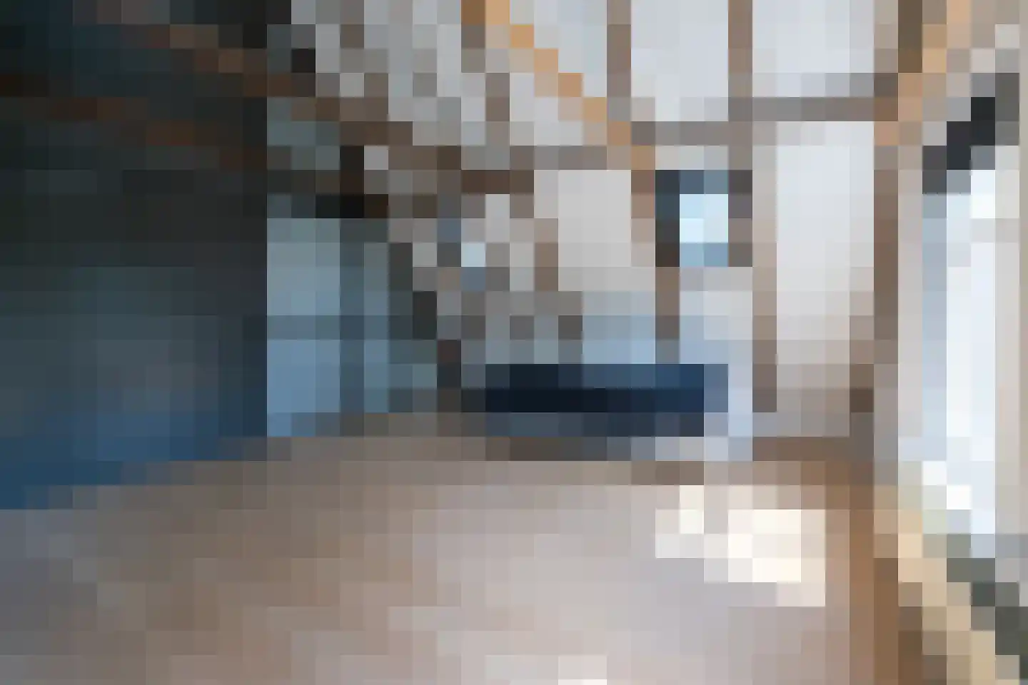Walstraat 22 Zwolle thumbnail 43
