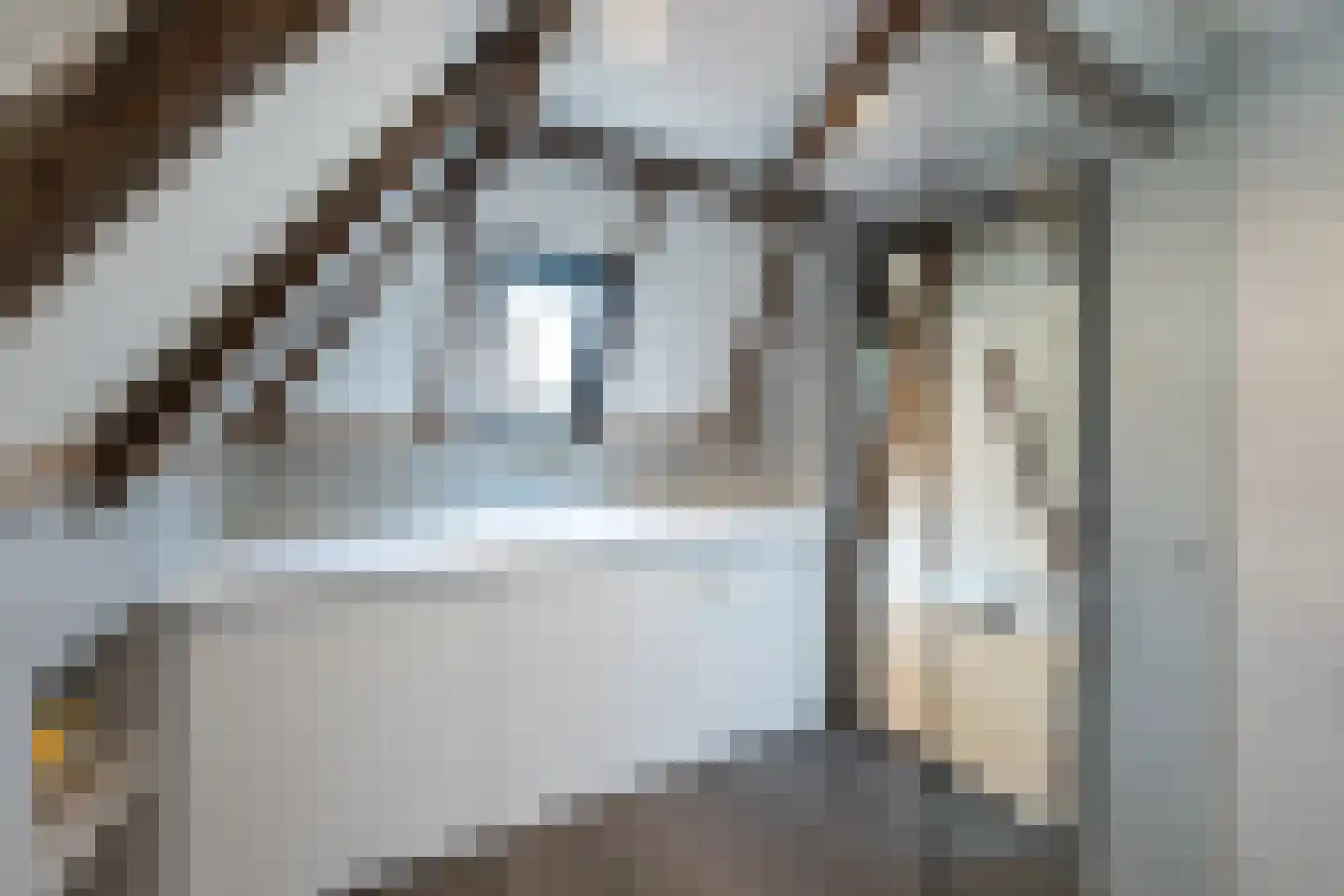 Walstraat 22 Zwolle thumbnail 47