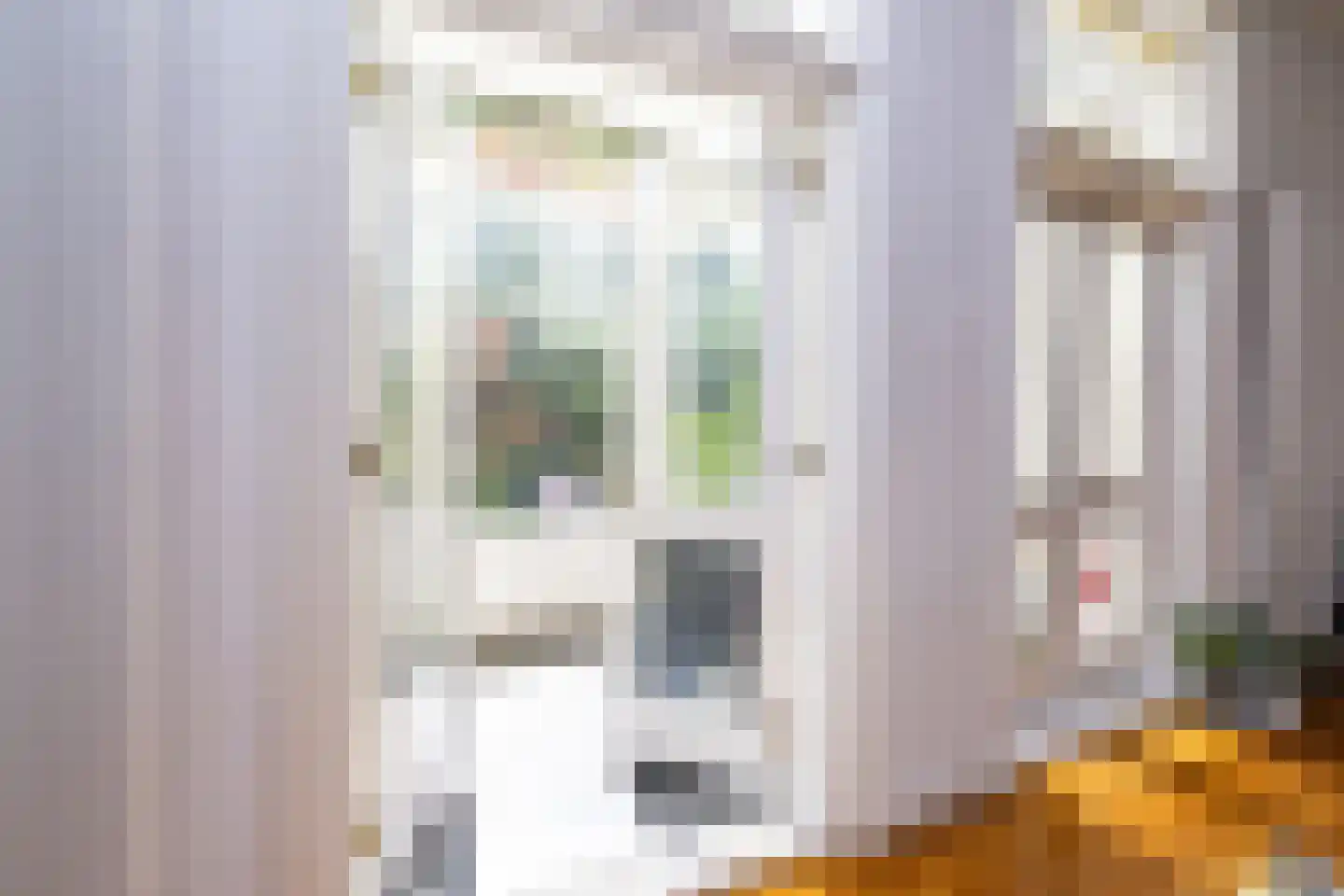 Walstraat 22 Zwolle thumbnail 6