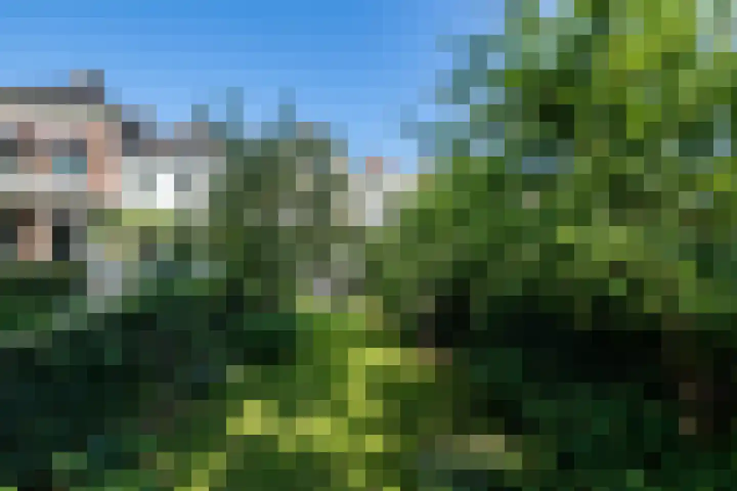 Walstraat 22 Zwolle thumbnail 65