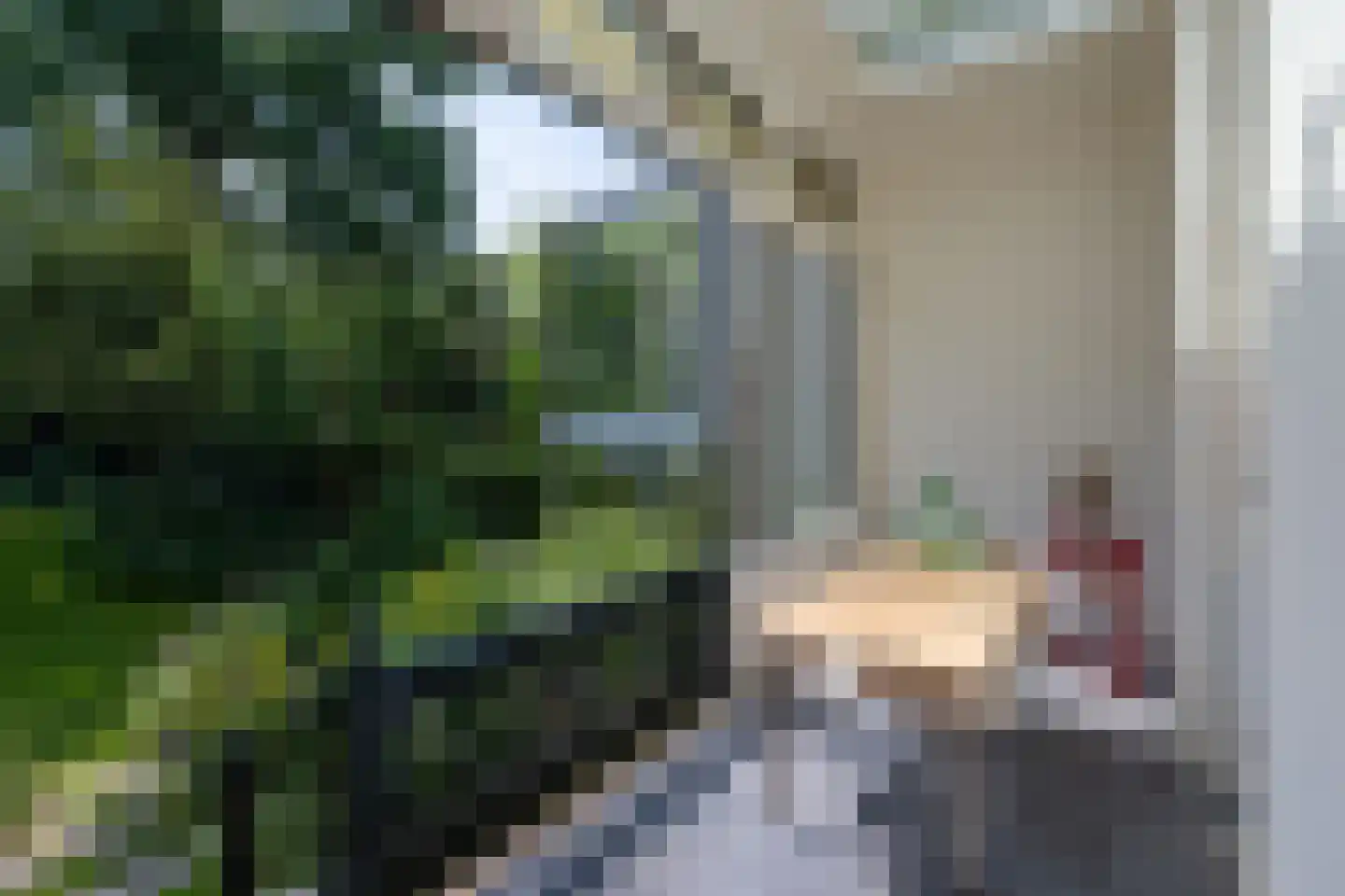 Walstraat 22 Zwolle thumbnail 9