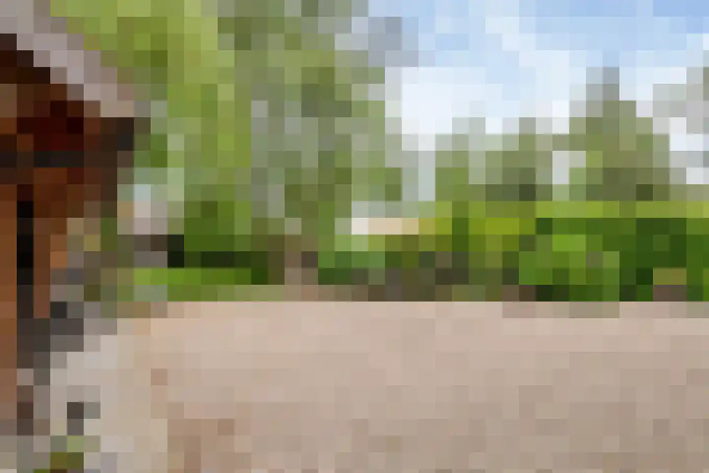 Walstraat 23 Appeltern thumbnail 43