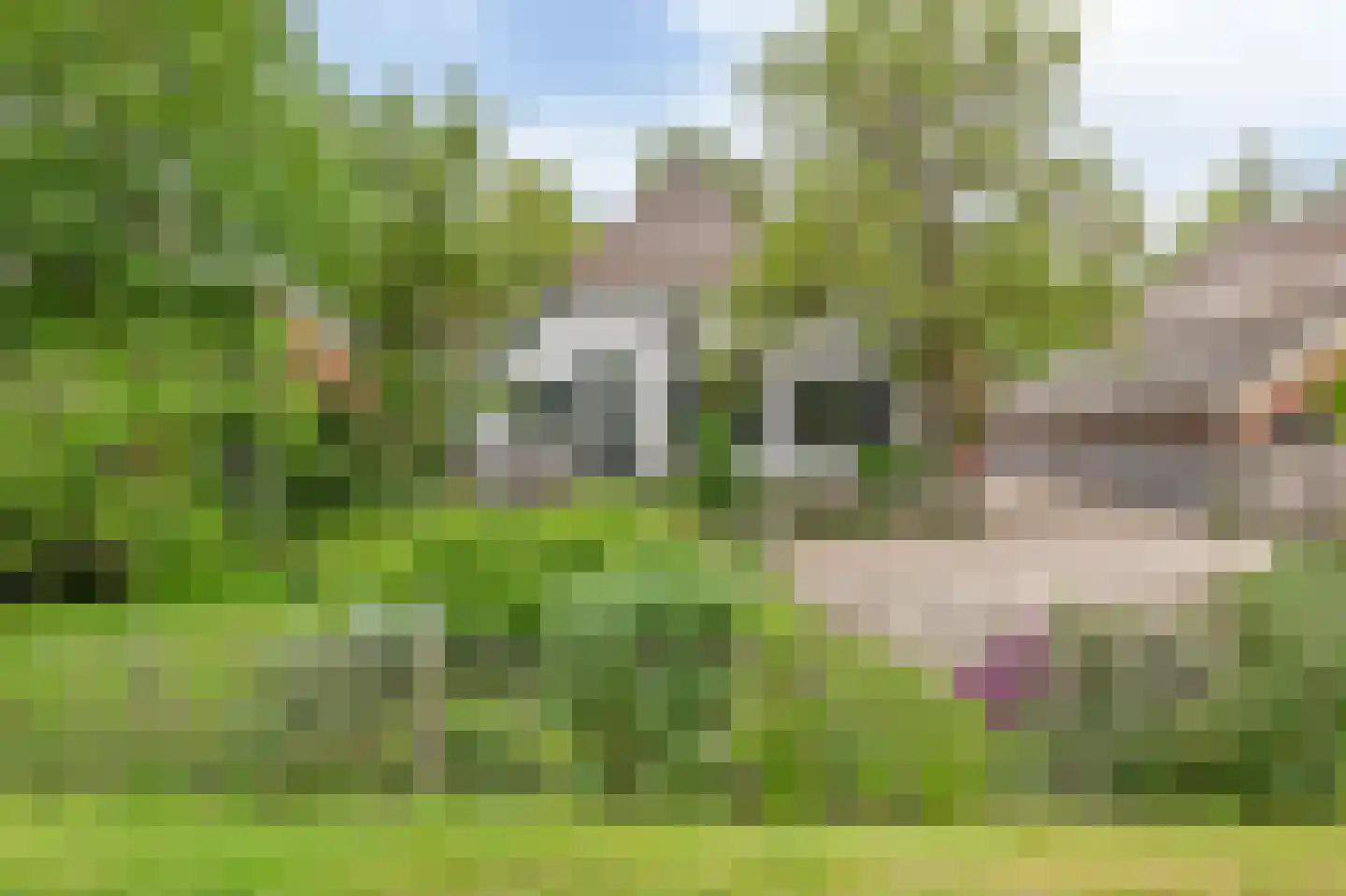 Walstraat 23 Appeltern thumbnail 53