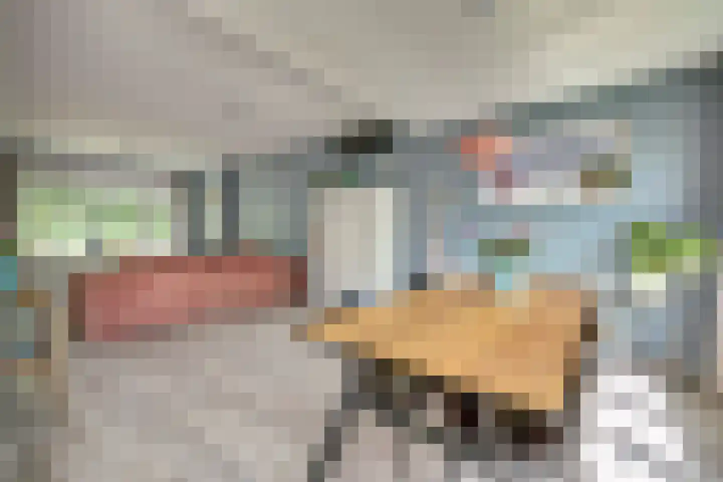 Walstraat 23 's-Heer Arendskerke thumbnail 13