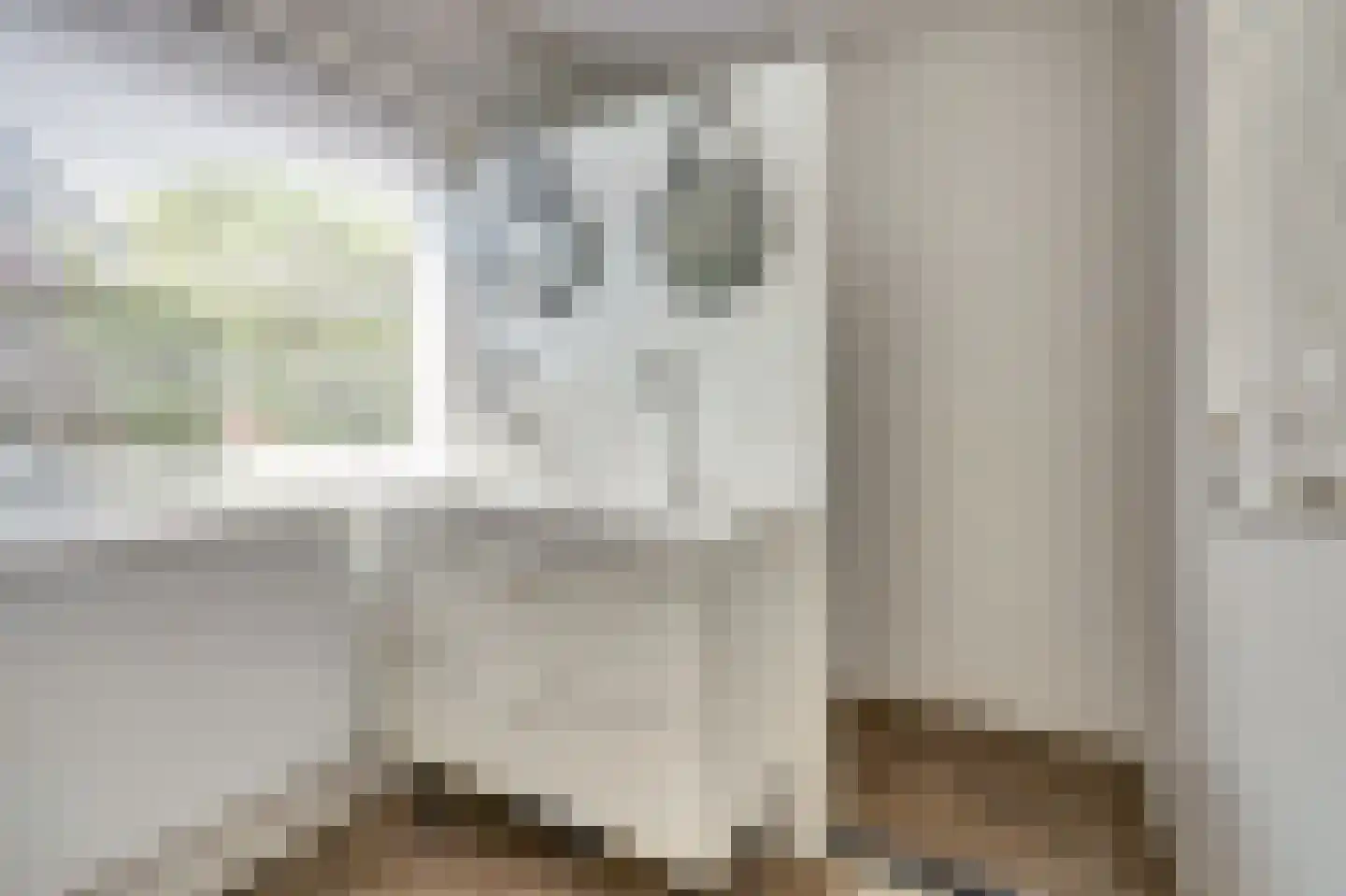 Walstraat 23 's-Heer Arendskerke thumbnail 22