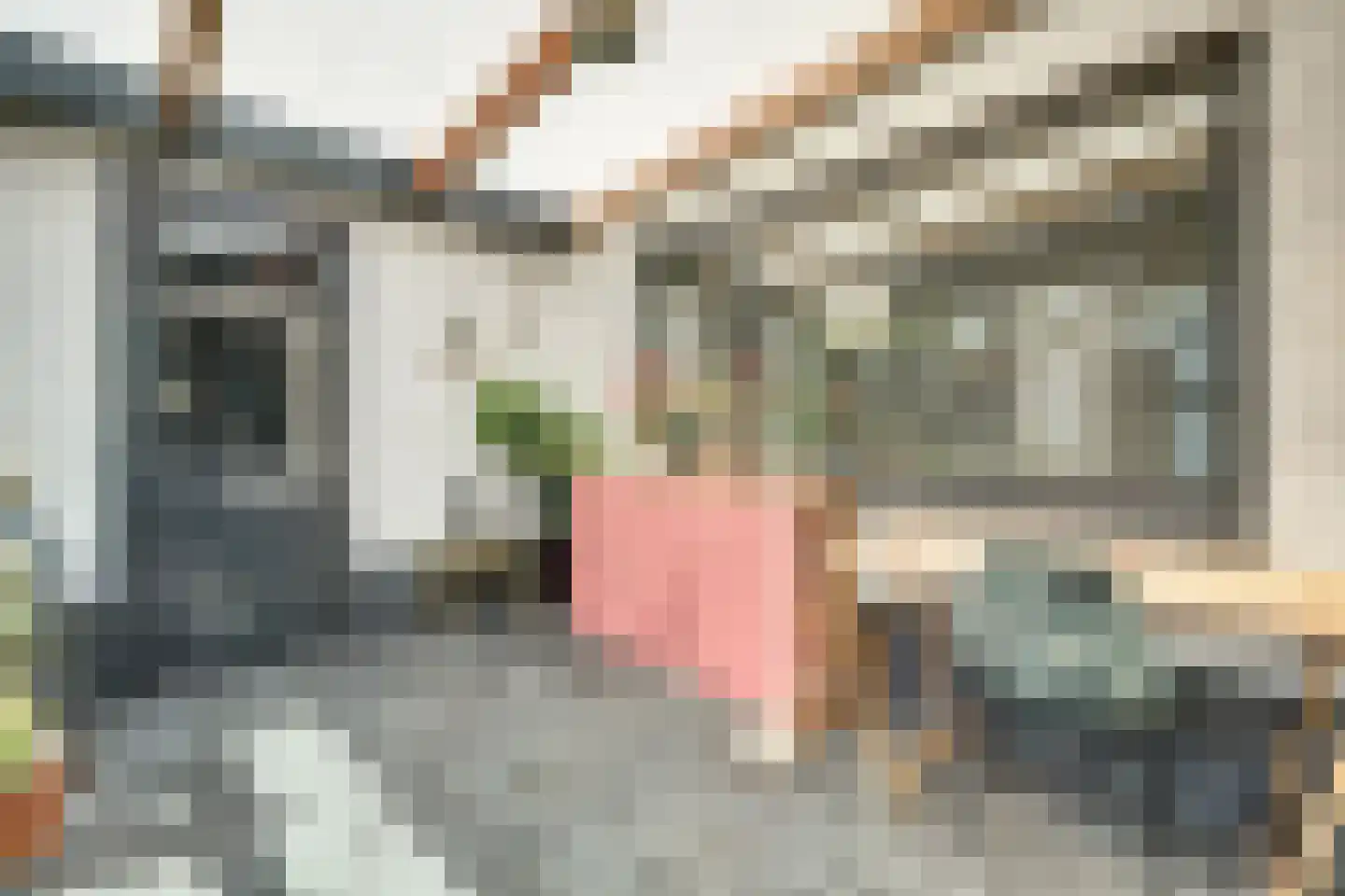 Walstraat 23 's-Heer Arendskerke thumbnail 25
