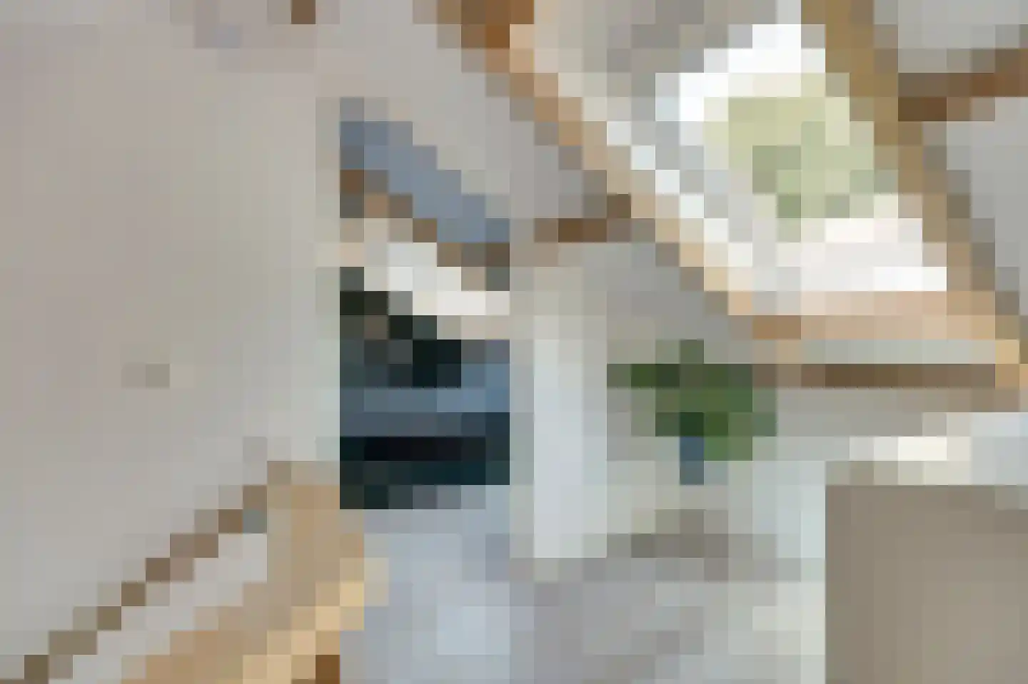 Walstraat 23 's-Heer Arendskerke thumbnail 27