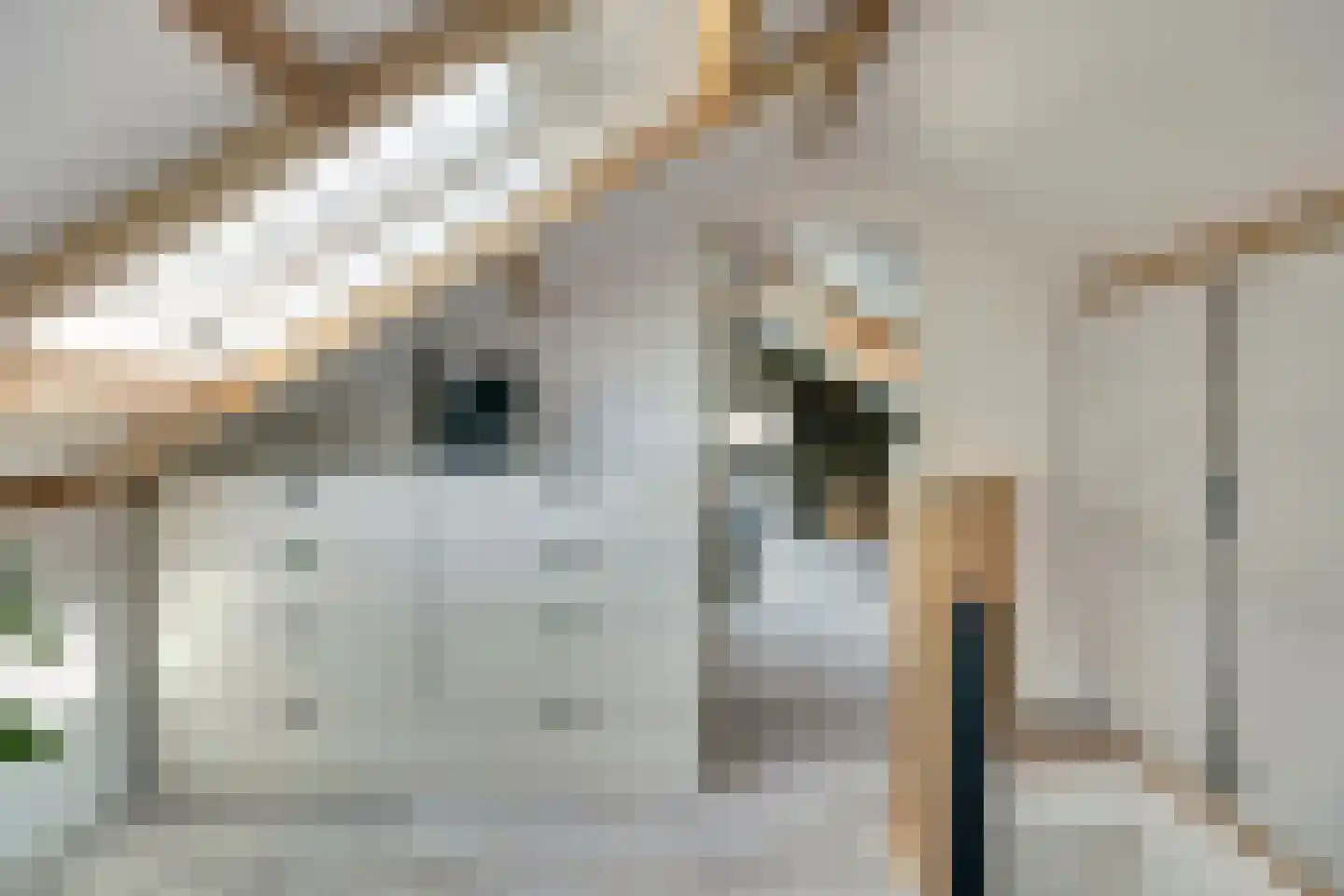 Walstraat 23 's-Heer Arendskerke thumbnail 28