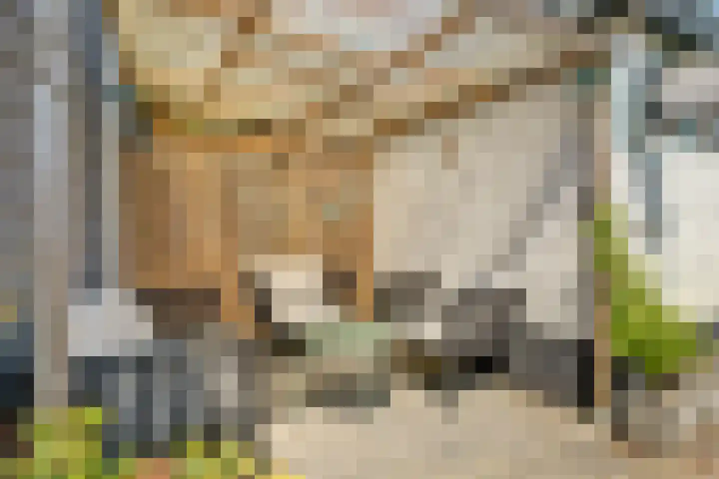 Walstraat 23 's-Heer Arendskerke thumbnail 37