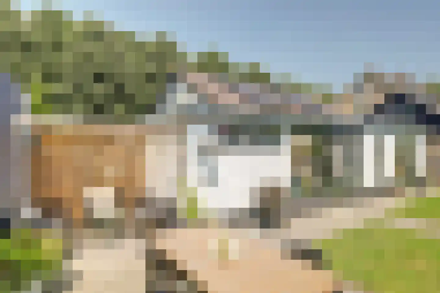 Walstraat 23 's-Heer Arendskerke thumbnail 4