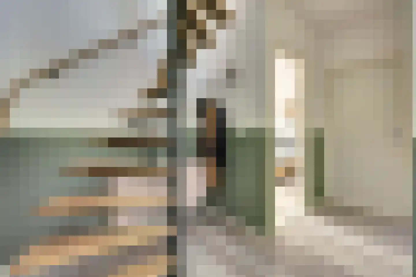 Walstraat 23 's-Heer Arendskerke thumbnail 8