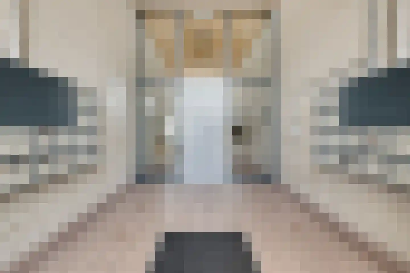 Walstraat 240 Vlissingen thumbnail 28