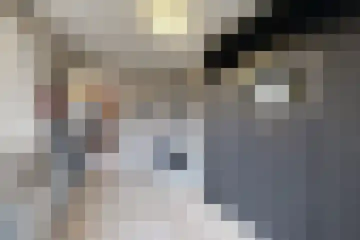 Walstraat 3 Klundert thumbnail 25