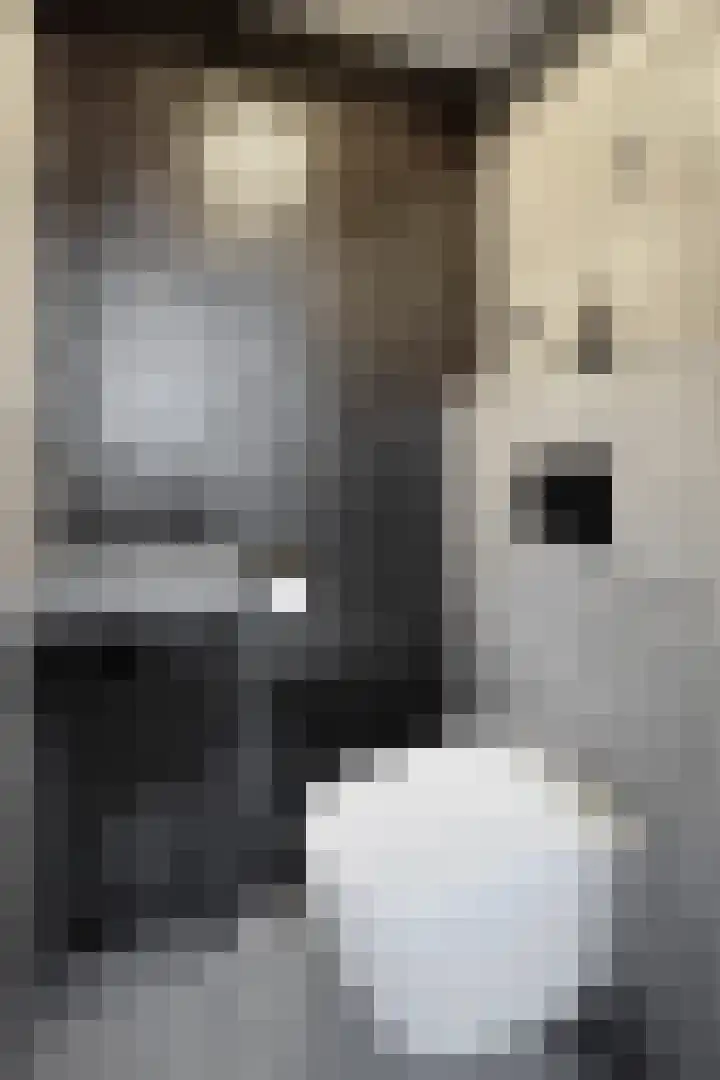 Walstraat 3 Klundert thumbnail 8