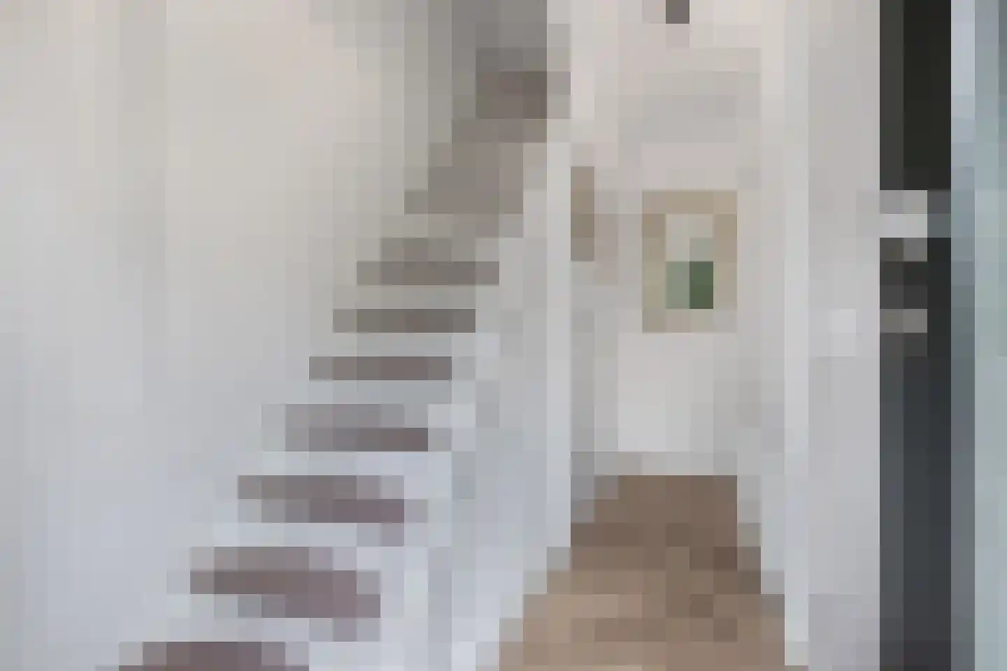 Walstraat 31 Kraggenburg thumbnail 13