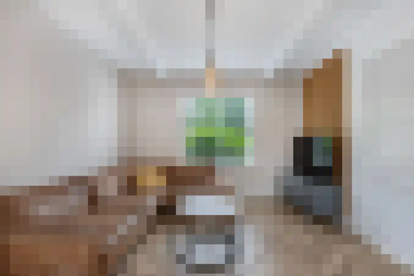 Walstraat 31 Kraggenburg thumbnail 19