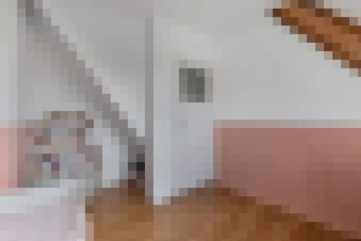 Walstraat 31 Kraggenburg thumbnail 34