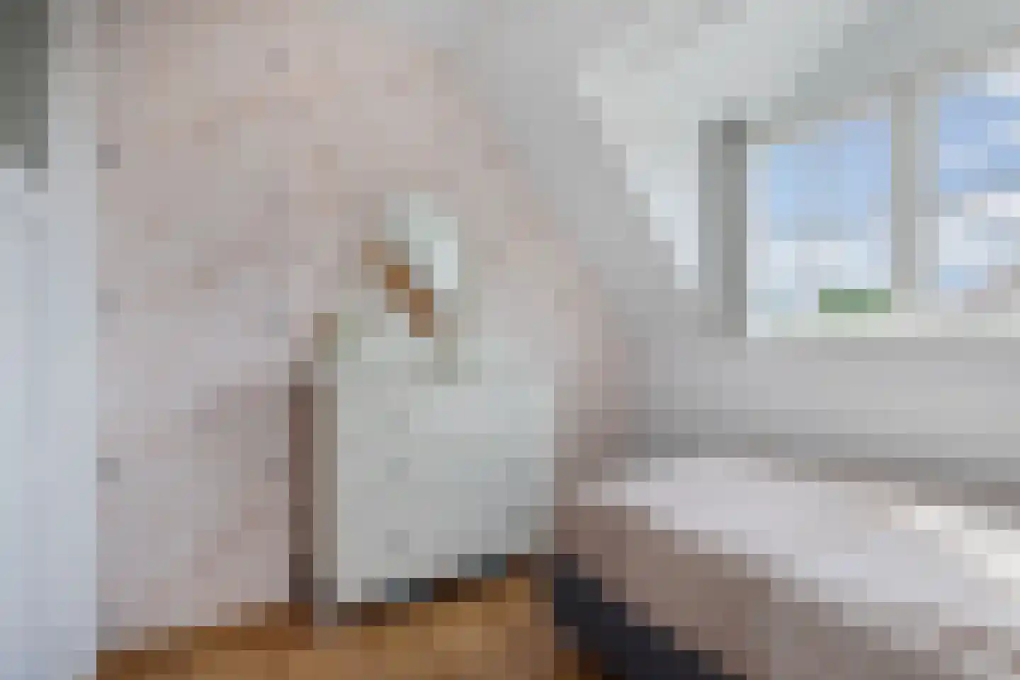Walstraat 31 Kraggenburg thumbnail 35