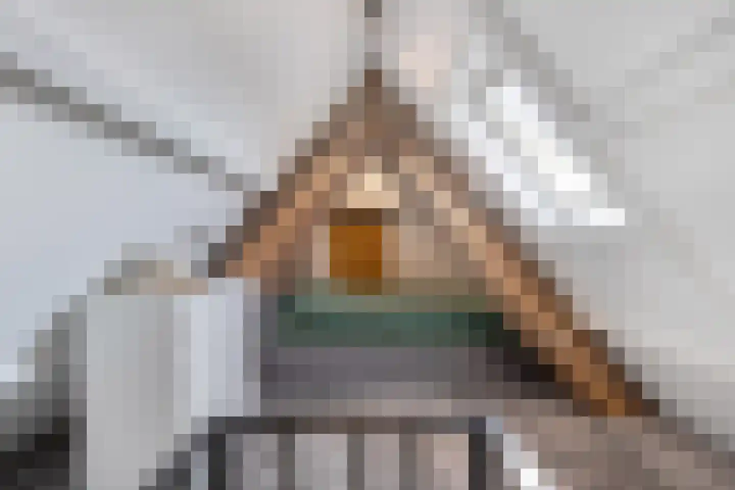 Walstraat 31 Kraggenburg thumbnail 39