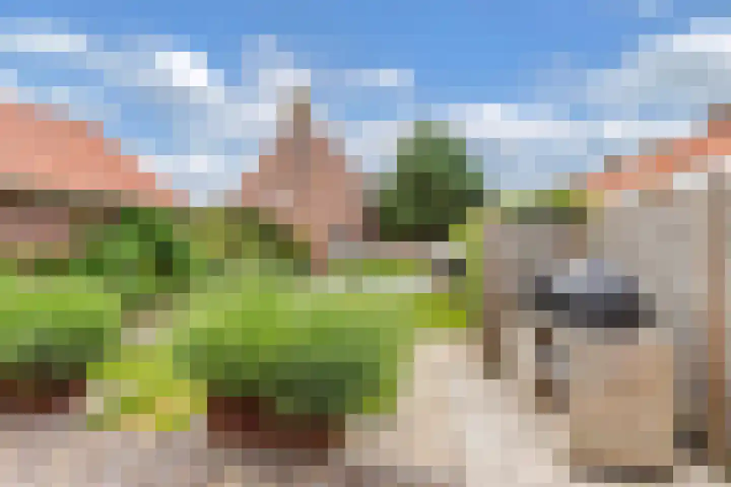 Walstraat 31 Kraggenburg thumbnail 43