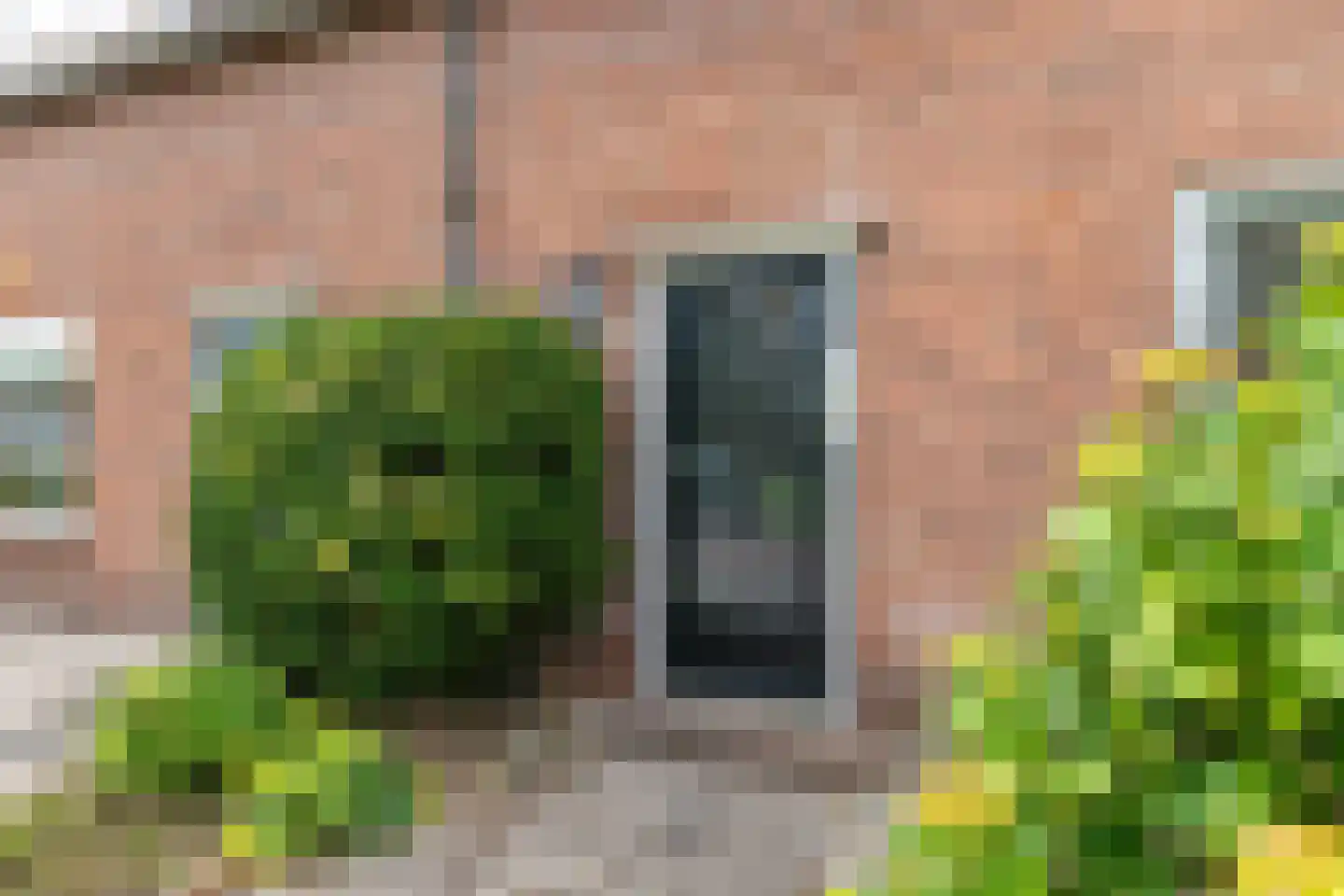 Walstraat 31 Kraggenburg thumbnail 8