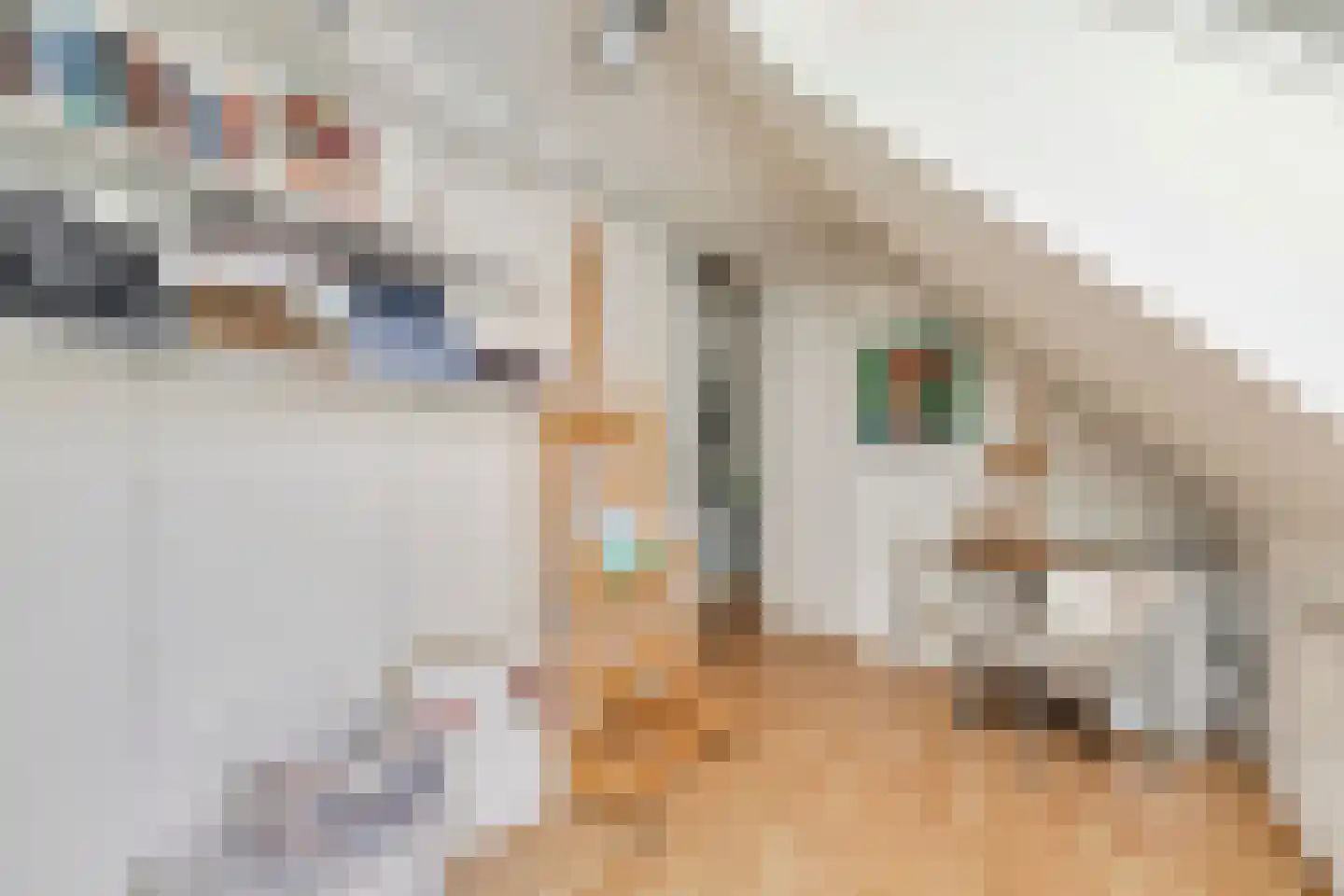 Walstraat 39 Huissen thumbnail 27