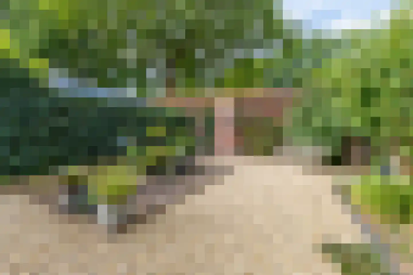 Walstraat 39 Huissen thumbnail 33