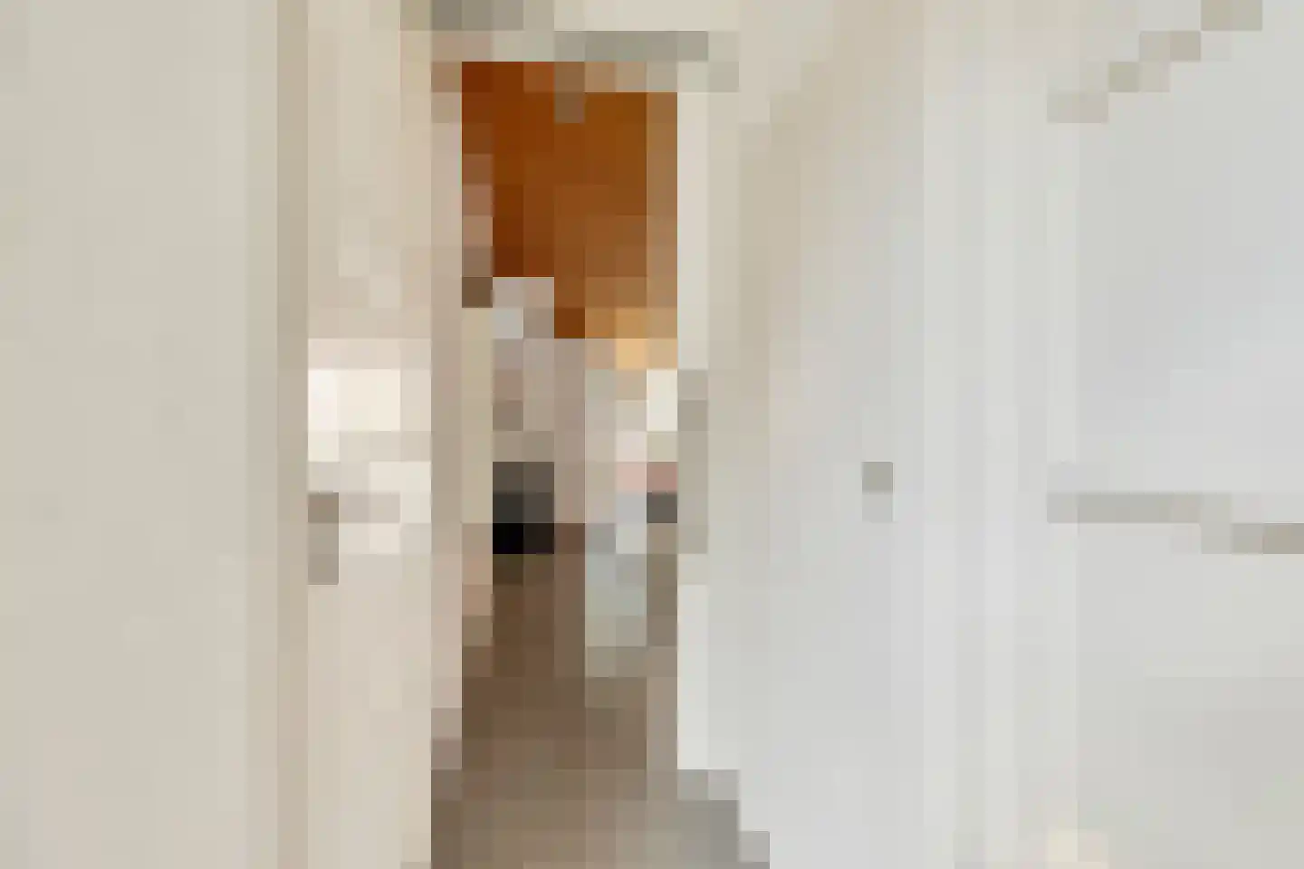 Walstraat 39 Huissen thumbnail 6