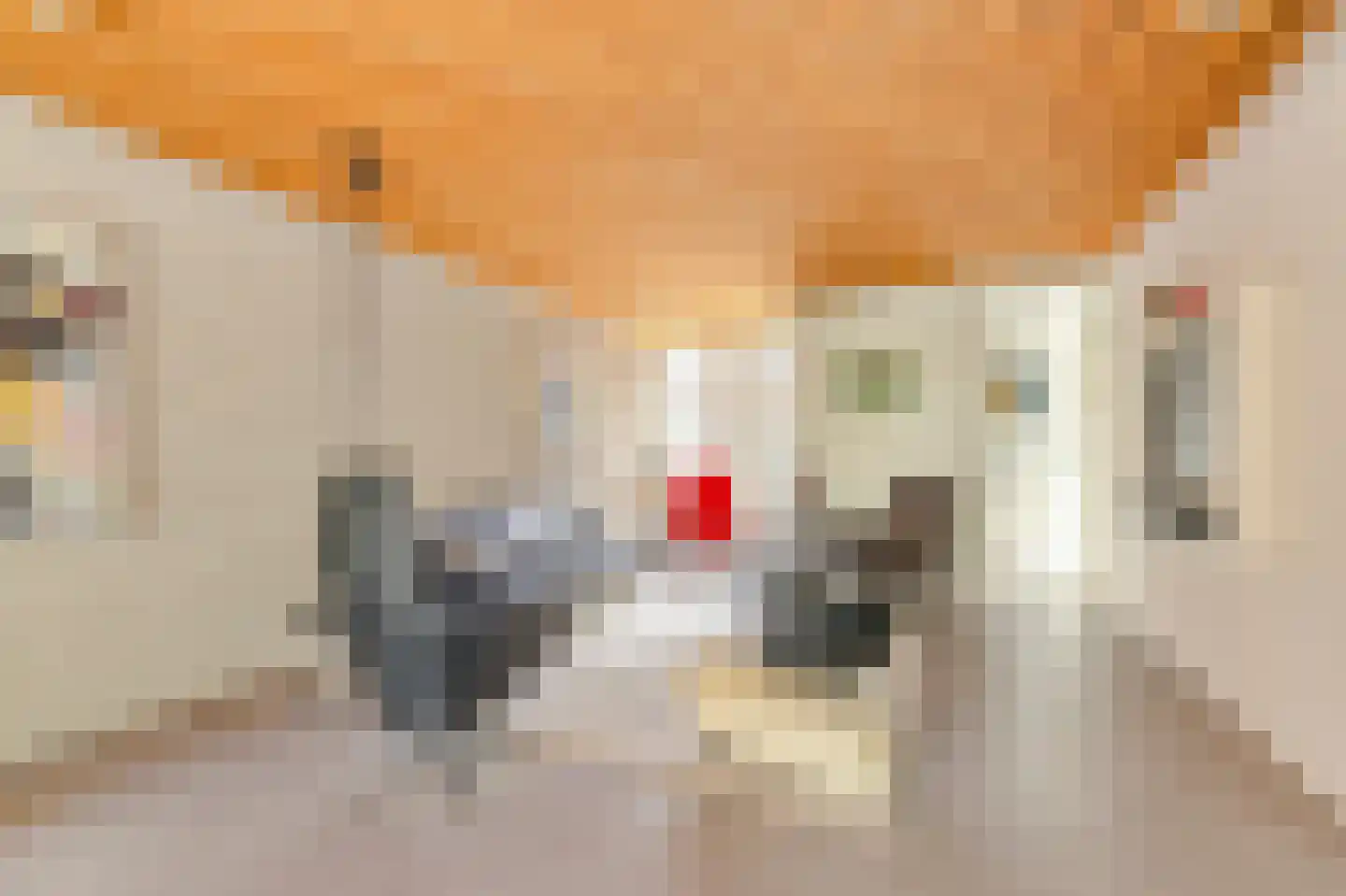 Walstraat 39 Huissen thumbnail 8